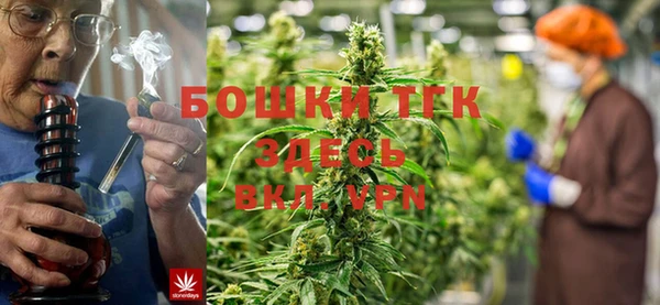 гидра Баксан