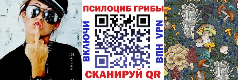 Псилоцибиновые грибы ЛСД  дарнет шоп  Чухлома 